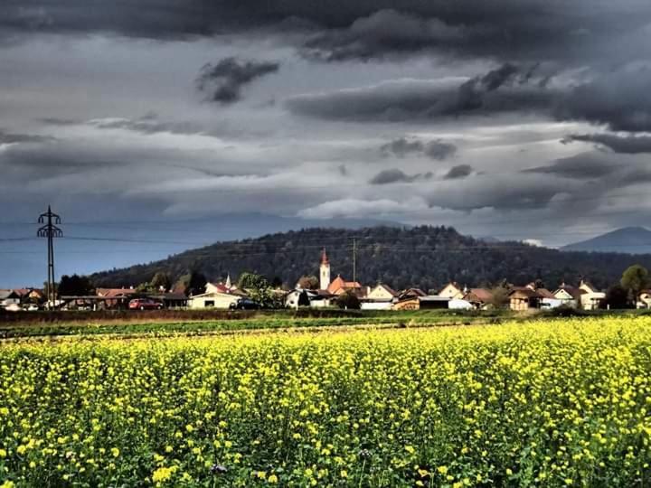 Michoart * Ljubljana